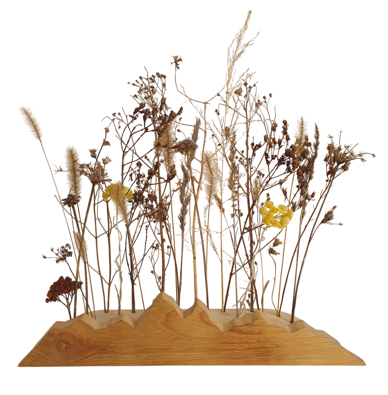 20230427_173957-Photoroom