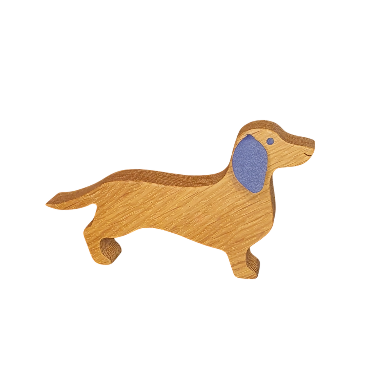 20250113_115416-Photoroom