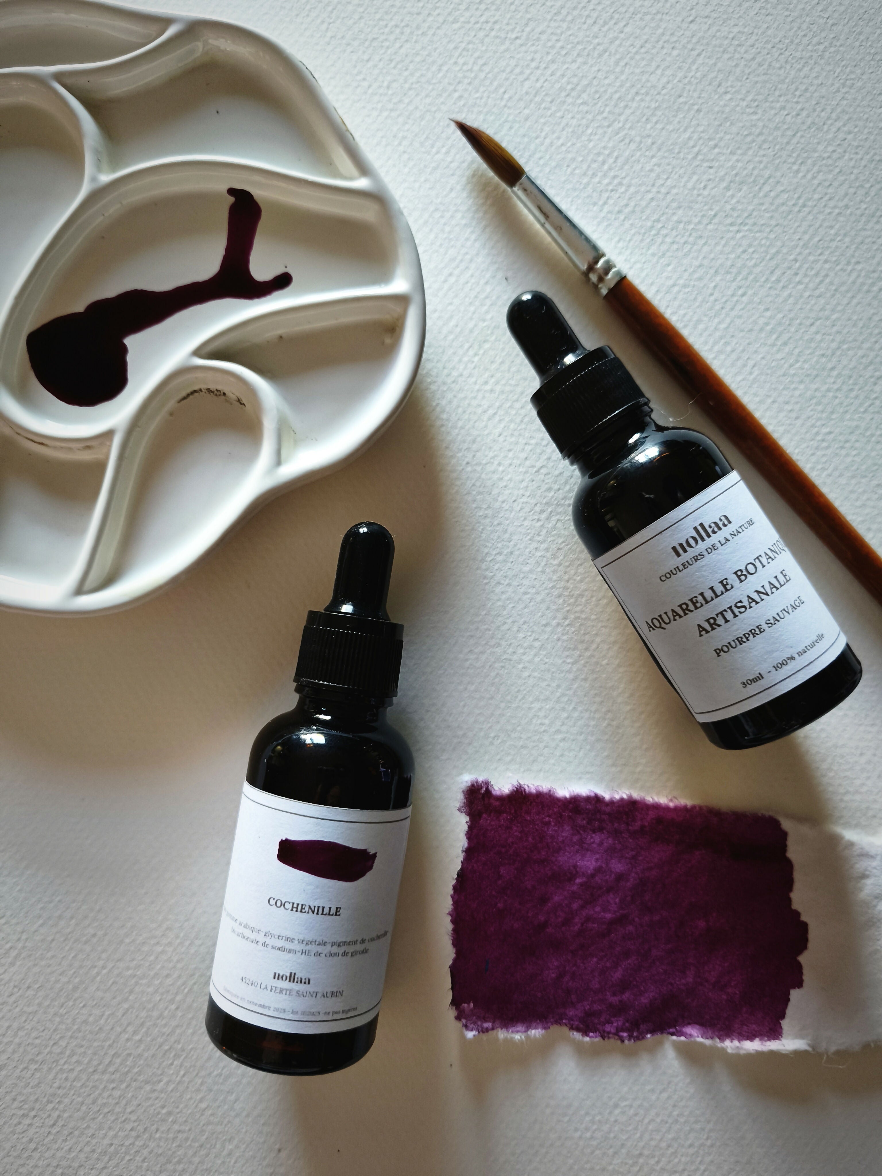 COFFRET AQUARELLES BOTANIQUES ET PAPIER FAIT MAIN