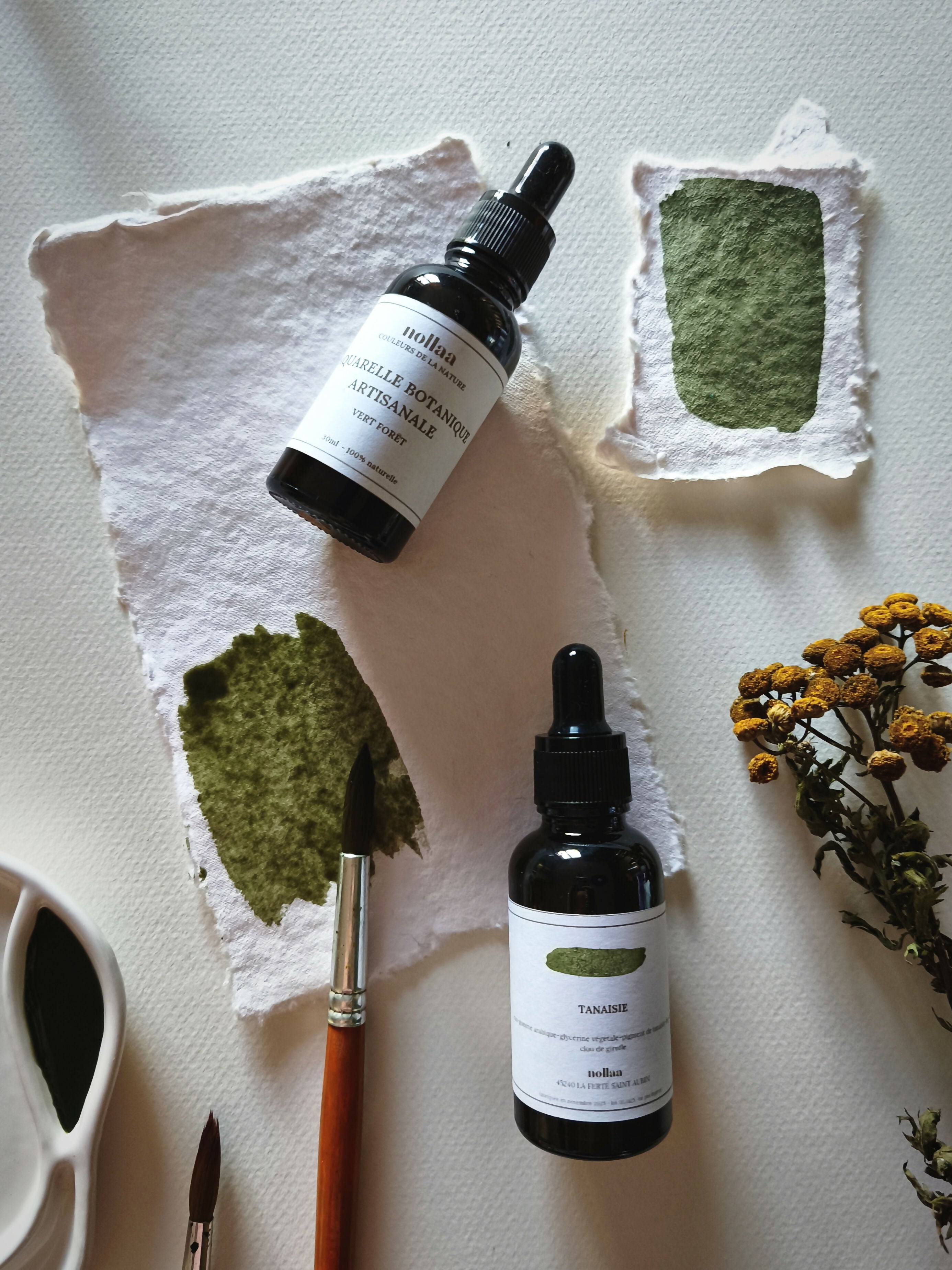 COFFRET AQUARELLES BOTANIQUES ET PAPIER FAIT MAIN