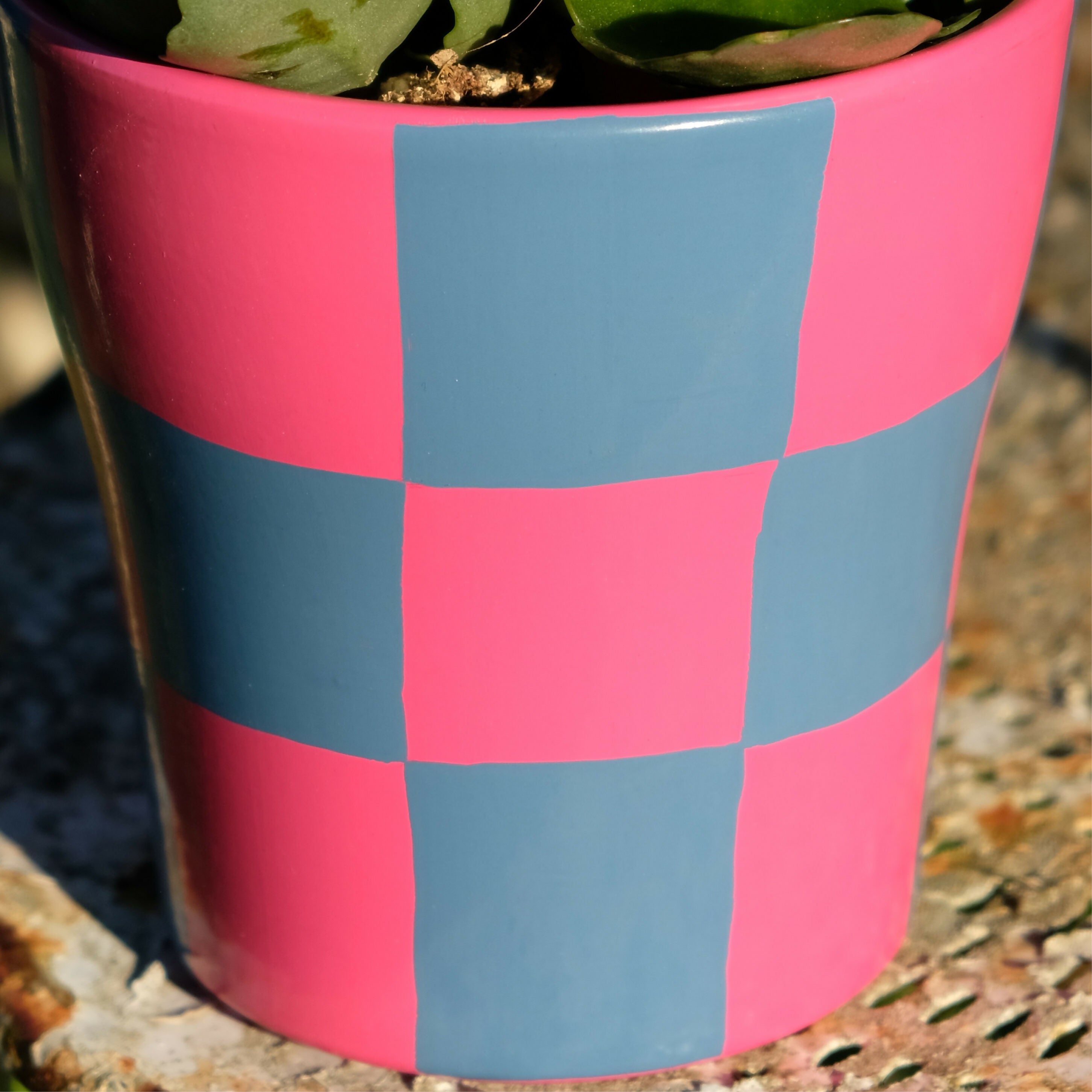Pot de fleurs/cache à motif damier rose et bleu