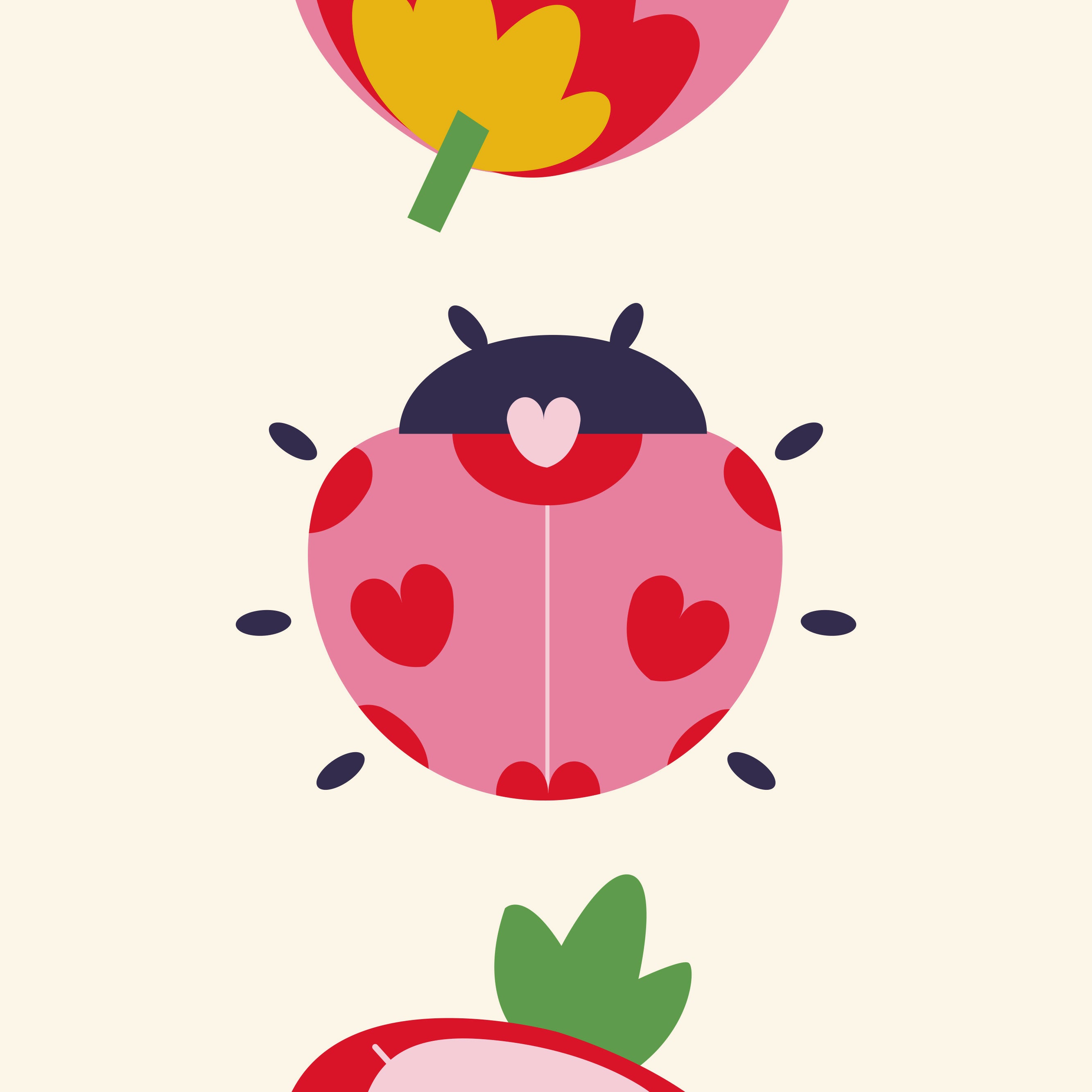 A6_0020_Fraises_Coccinnelle_02
