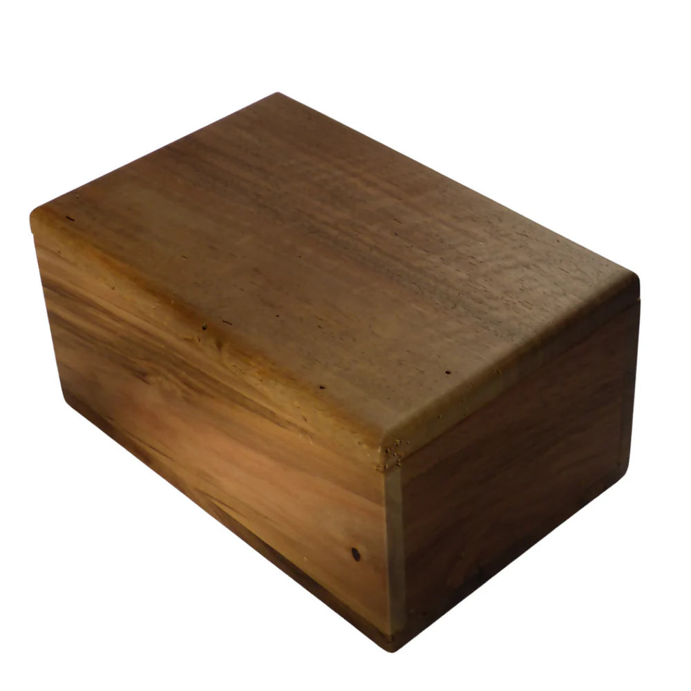 Jumbo arrondi - Le Noyer