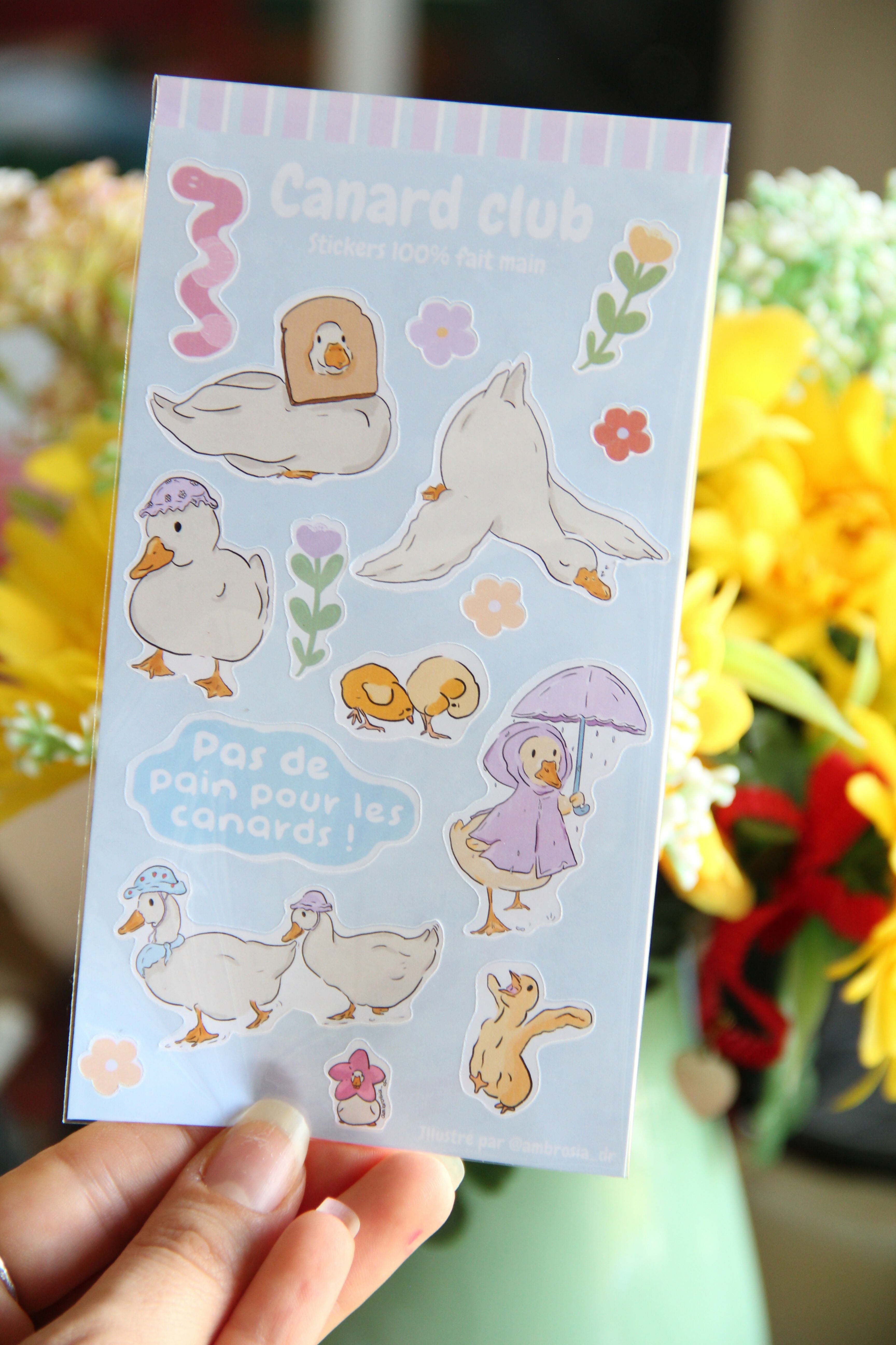 Planche de stickers "Canard Club"