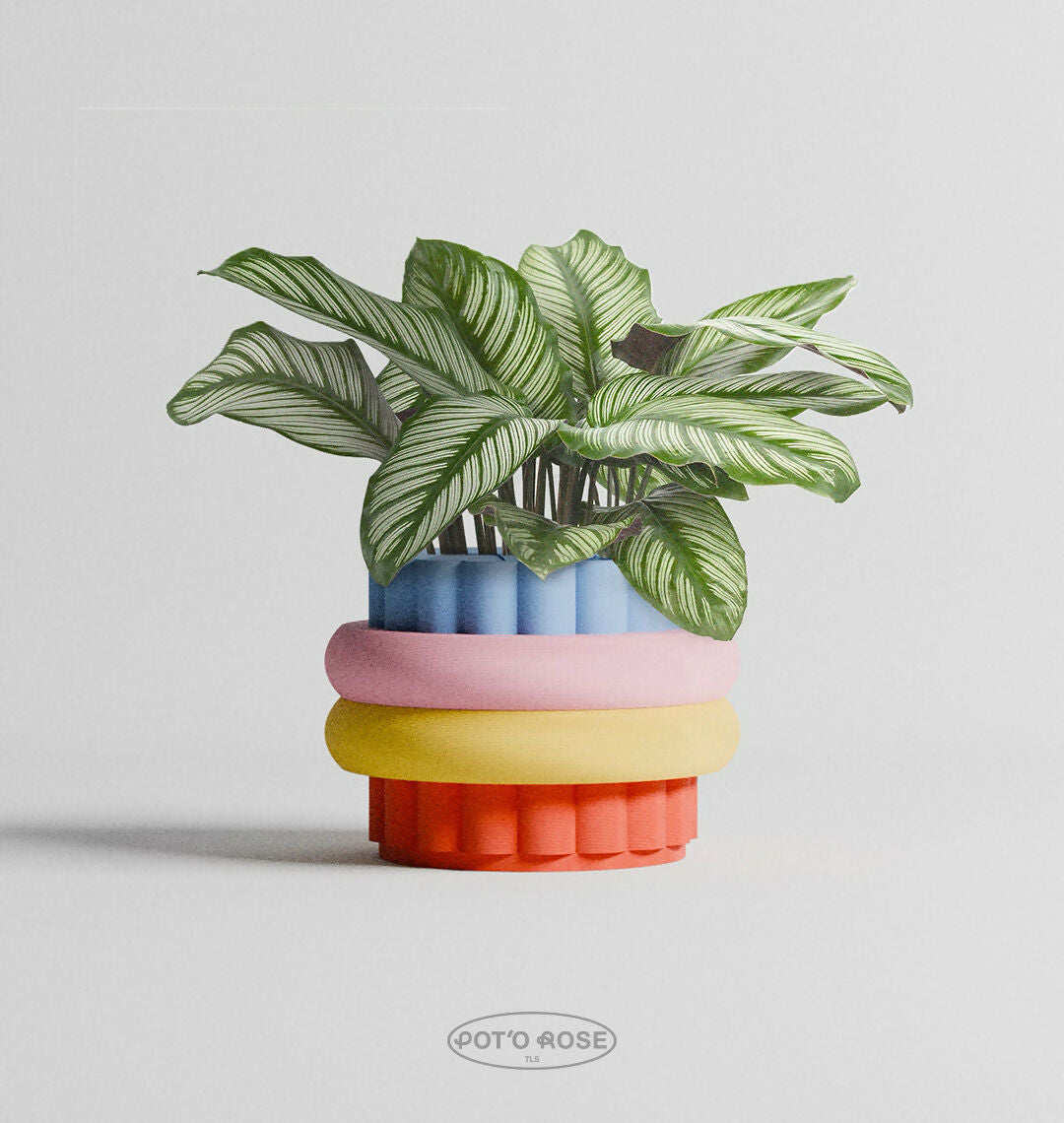 Raymonde | Cache-pot modulable