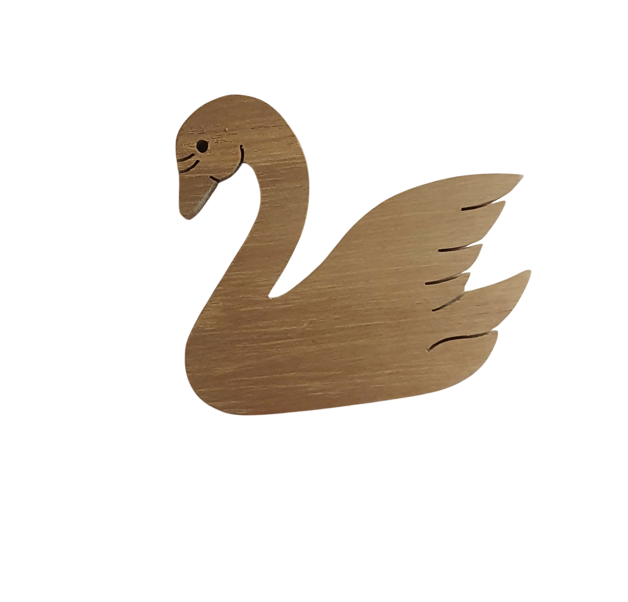 20250421_155659-Photoroom