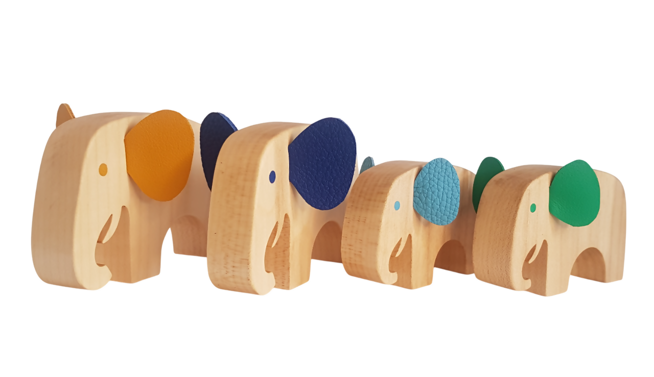 20230210_113222-Photoroom