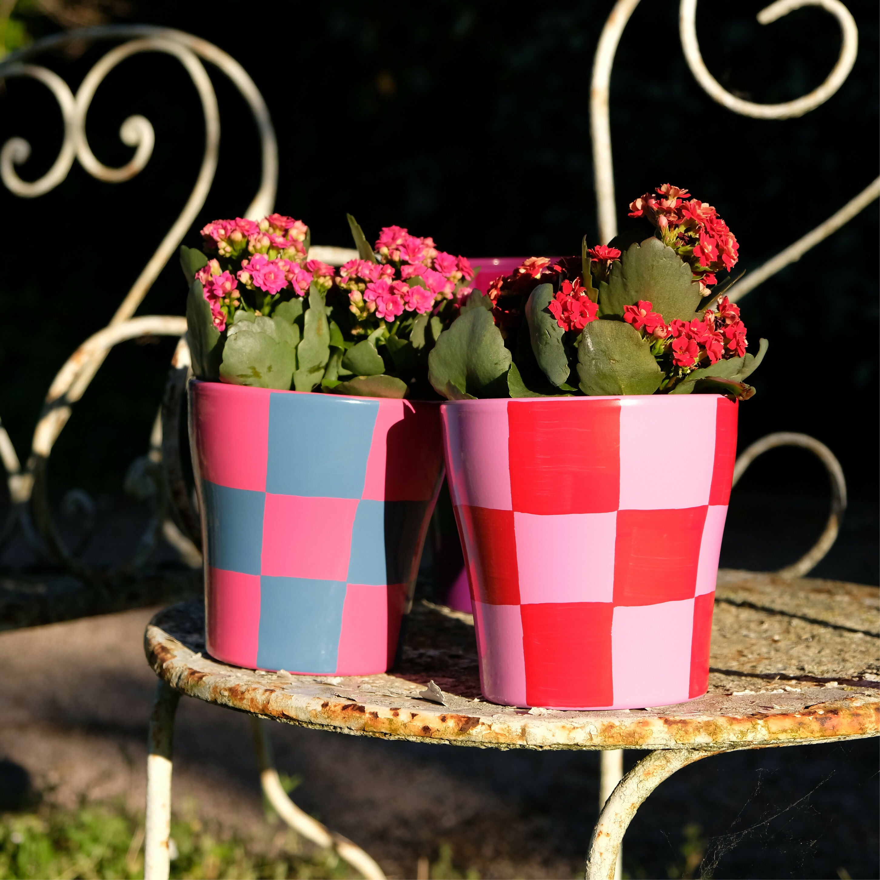 Pot de fleurs/cache à motif damier rose et bleu