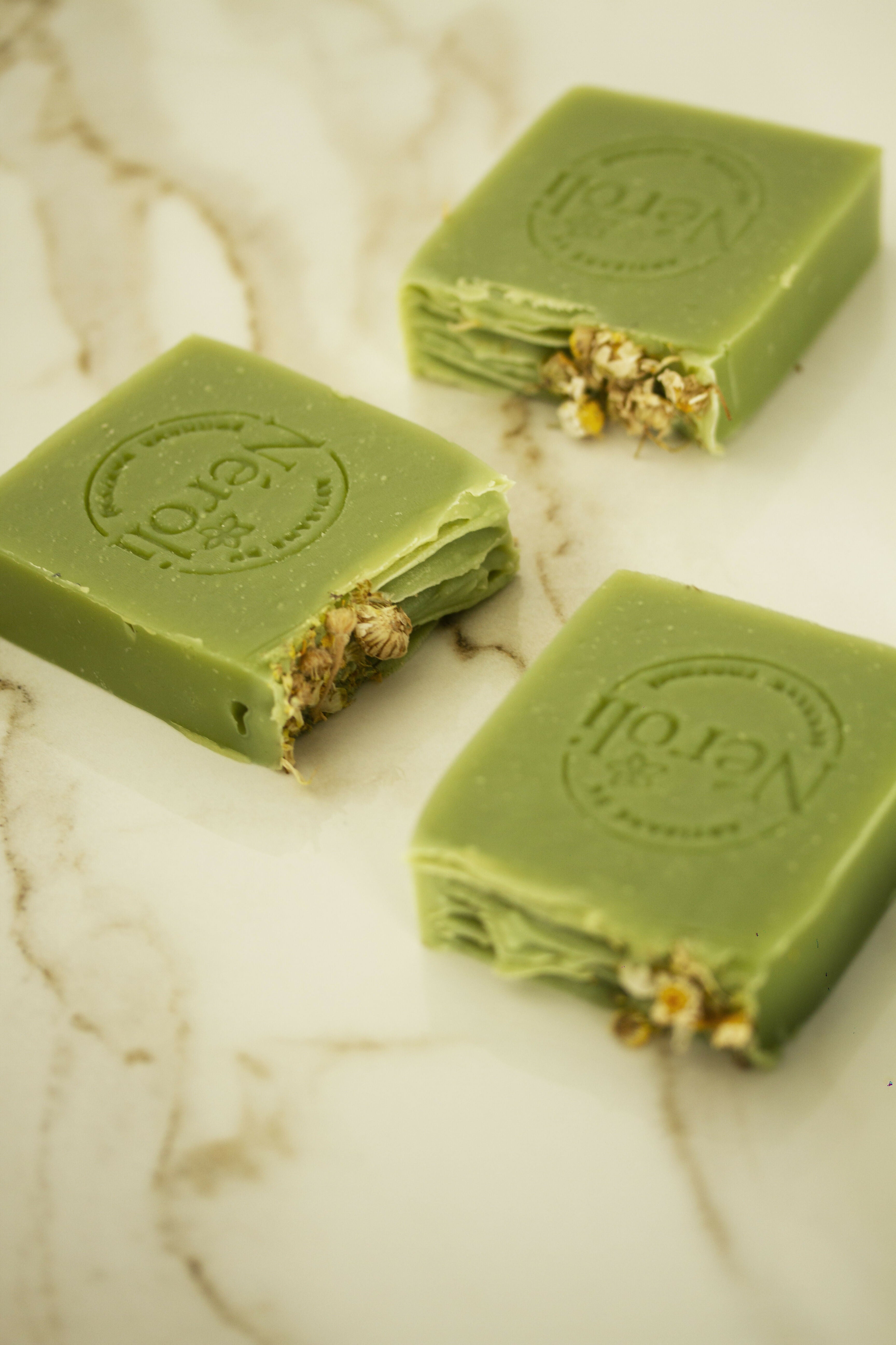 Sous les Orangers, le Souffle du Cèdre