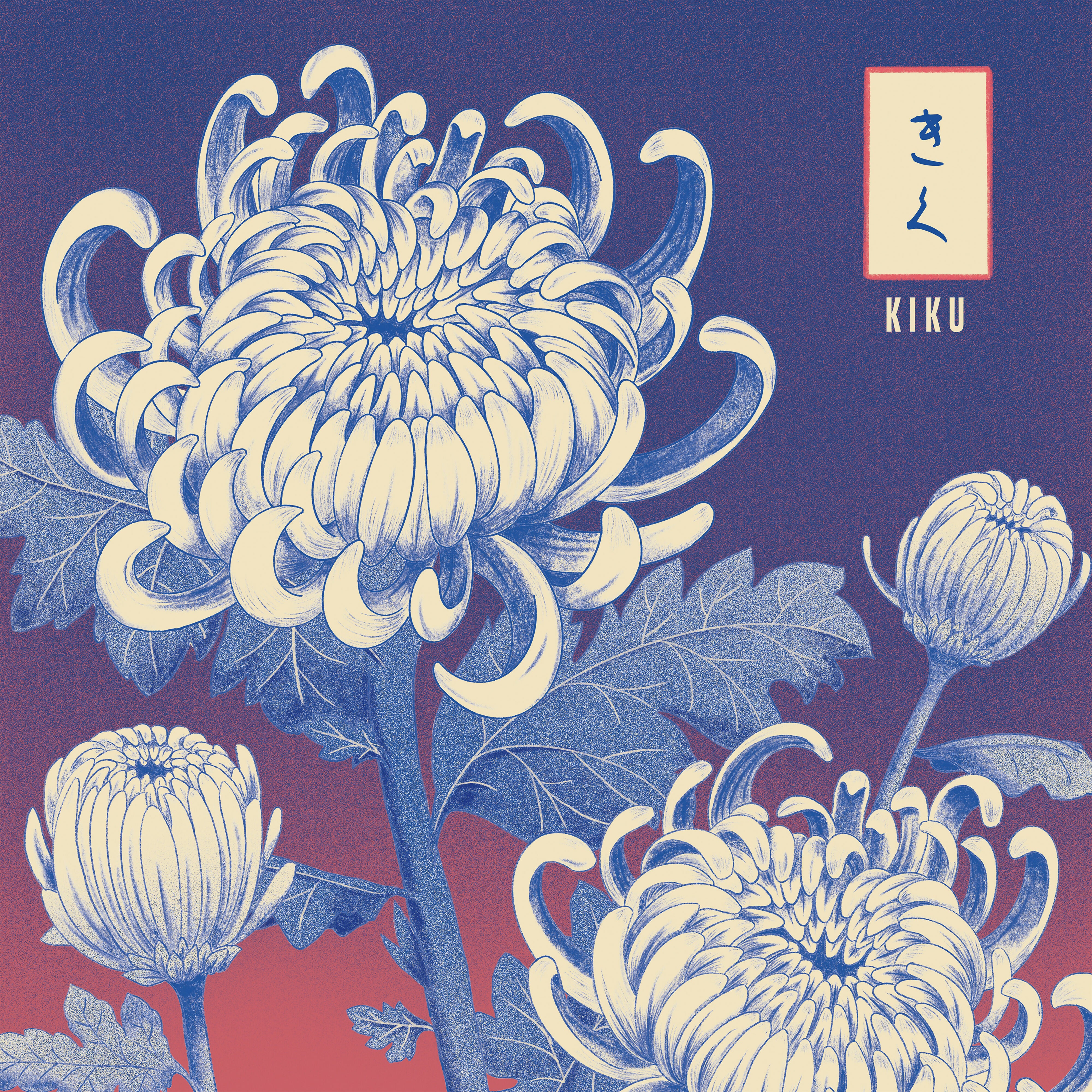 Affiche Kiku (chrysanthème) – Série Hana Kotoba