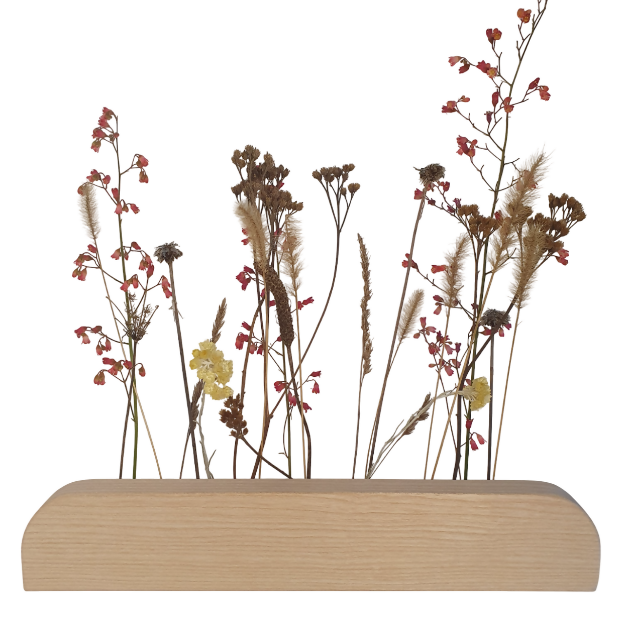 20230530_182101-Photoroom