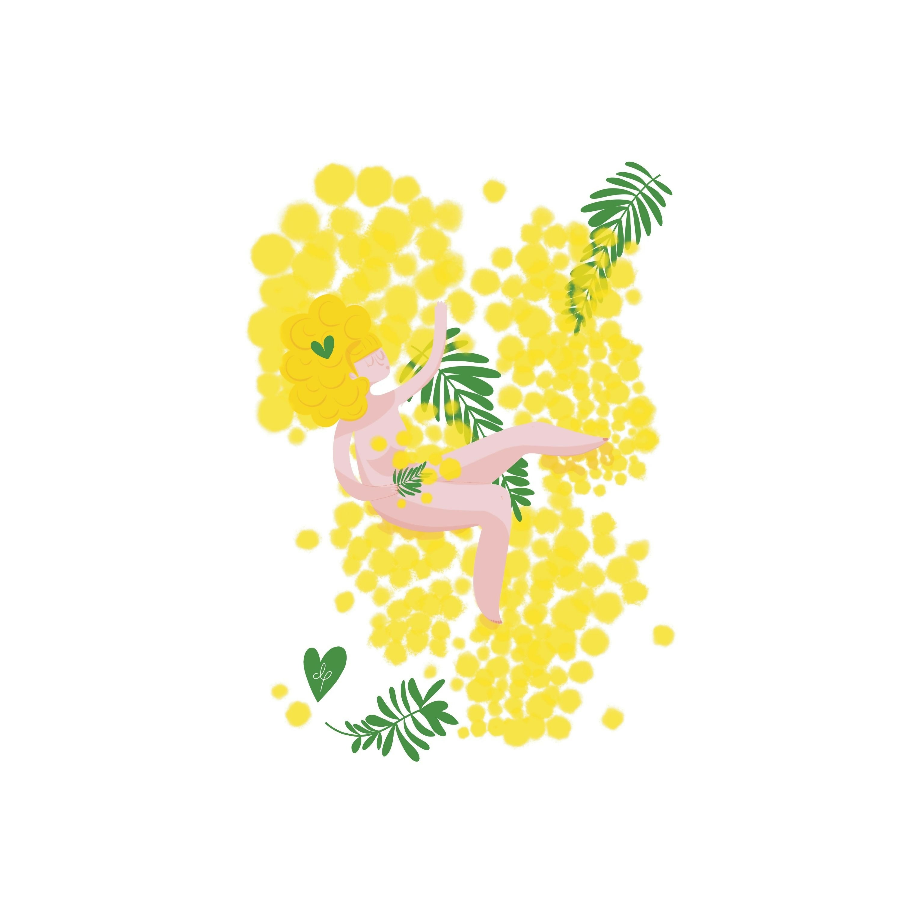Affiche MIMOSA