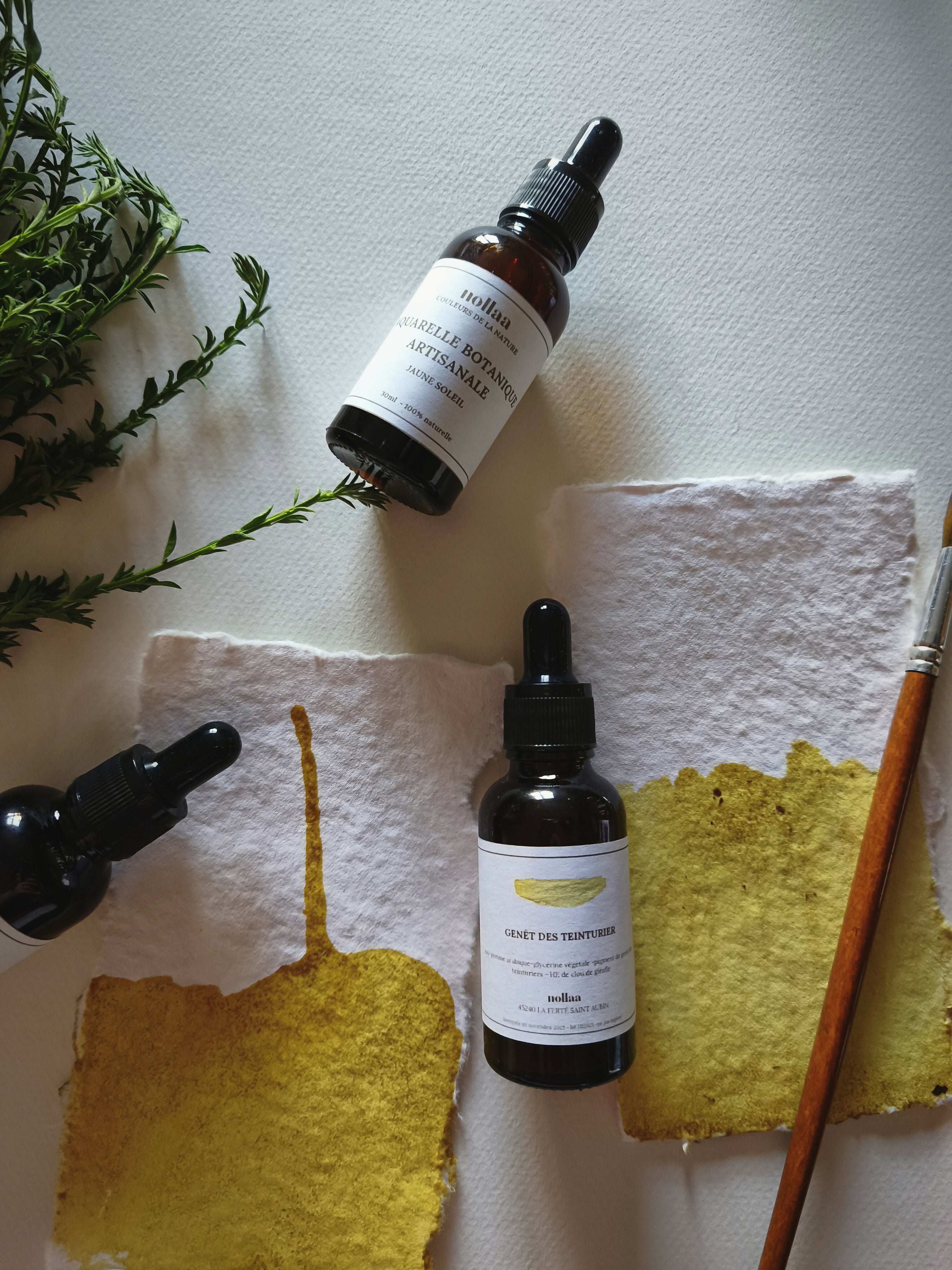 COFFRET AQUARELLES BOTANIQUES ET PAPIER FAIT MAIN