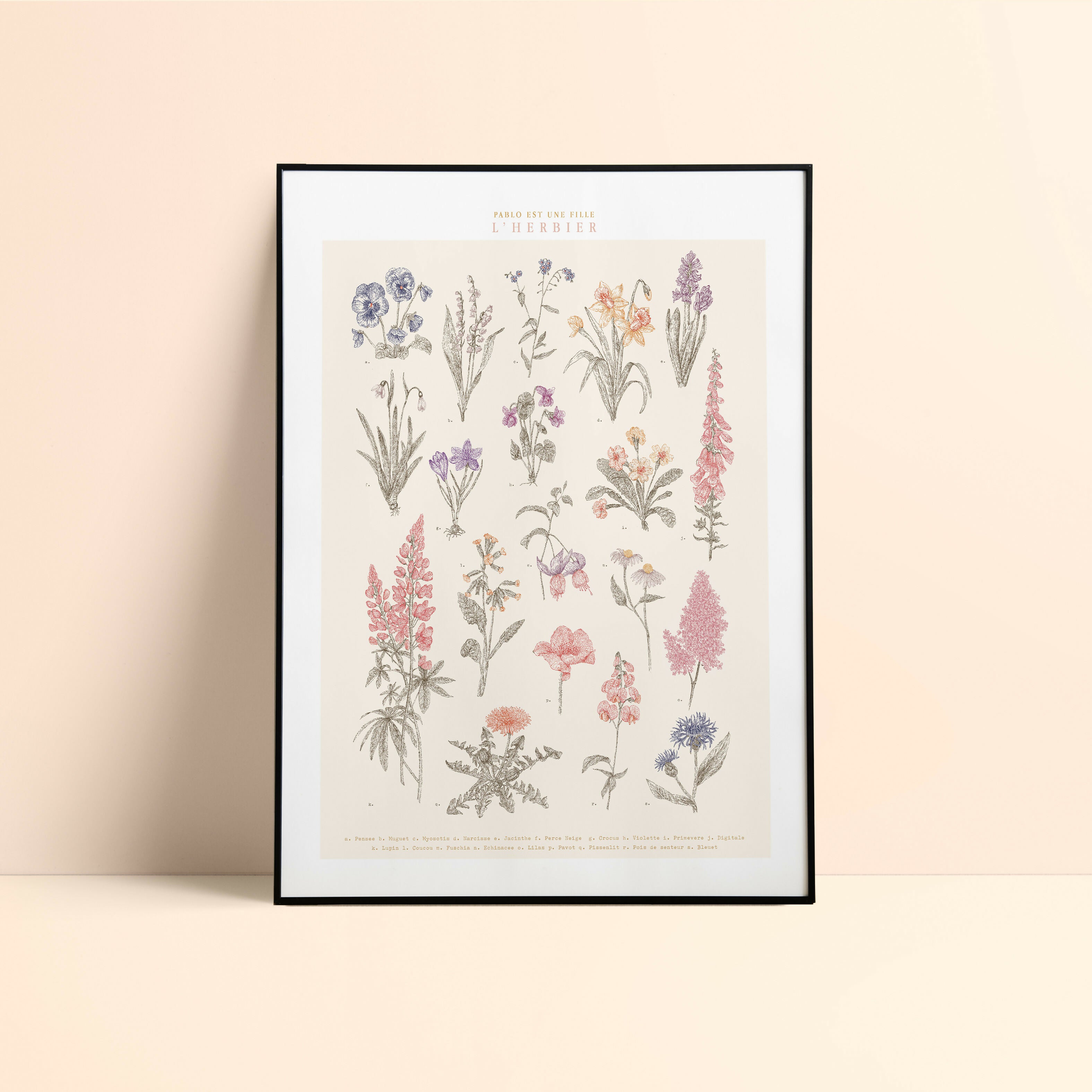 Affiche Herbier 30x40cm carré