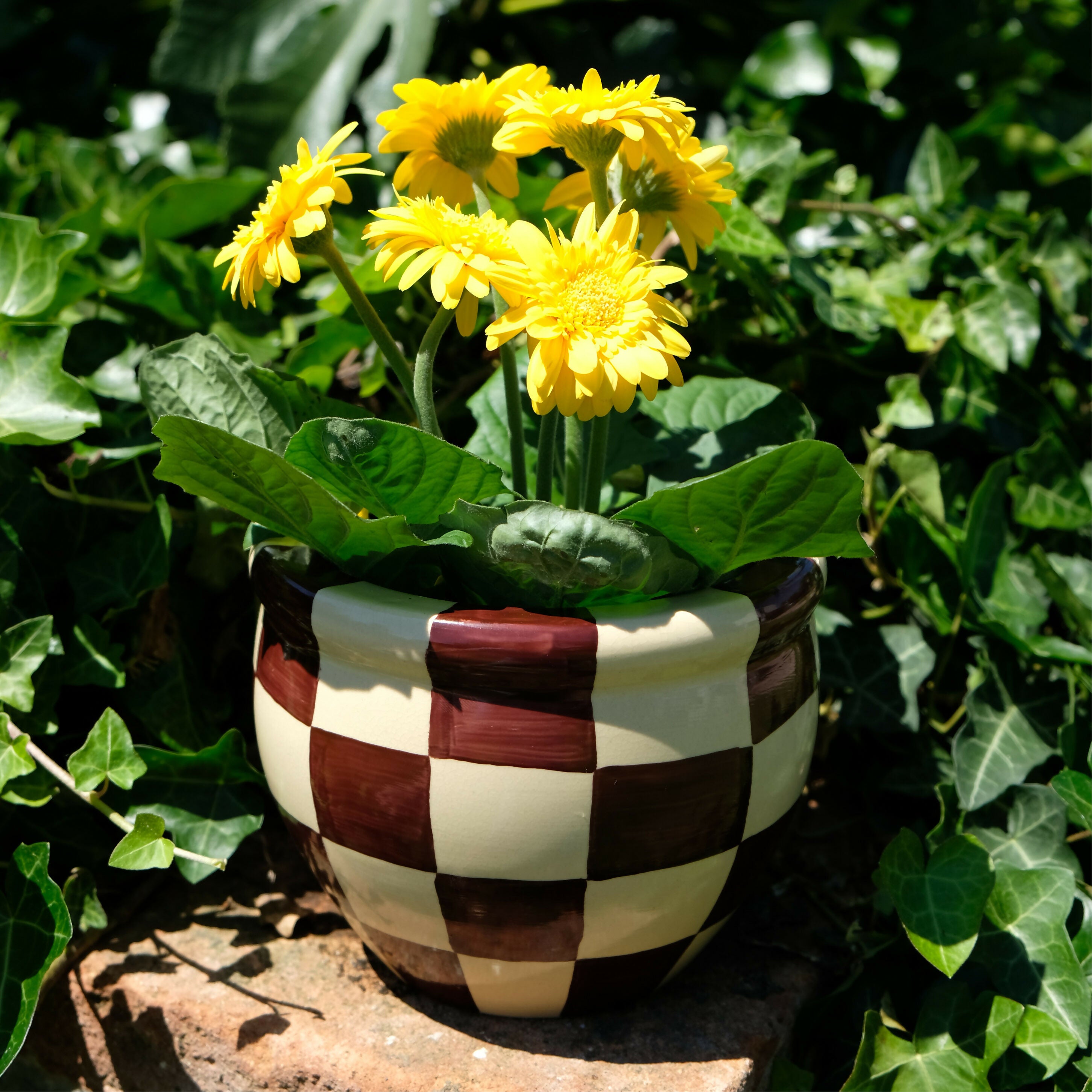Pot de fleur 05B09