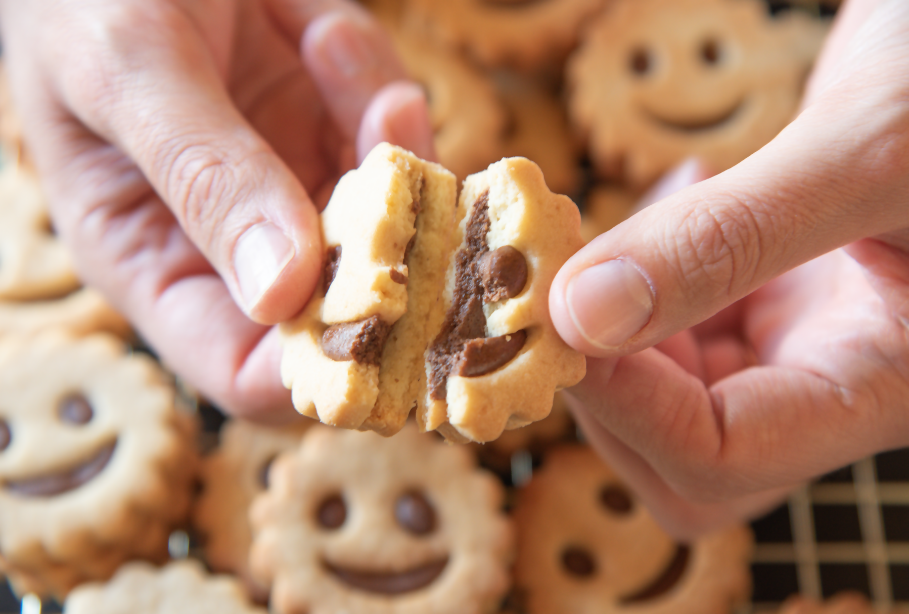 Les Biscuits Sourires Pralinés