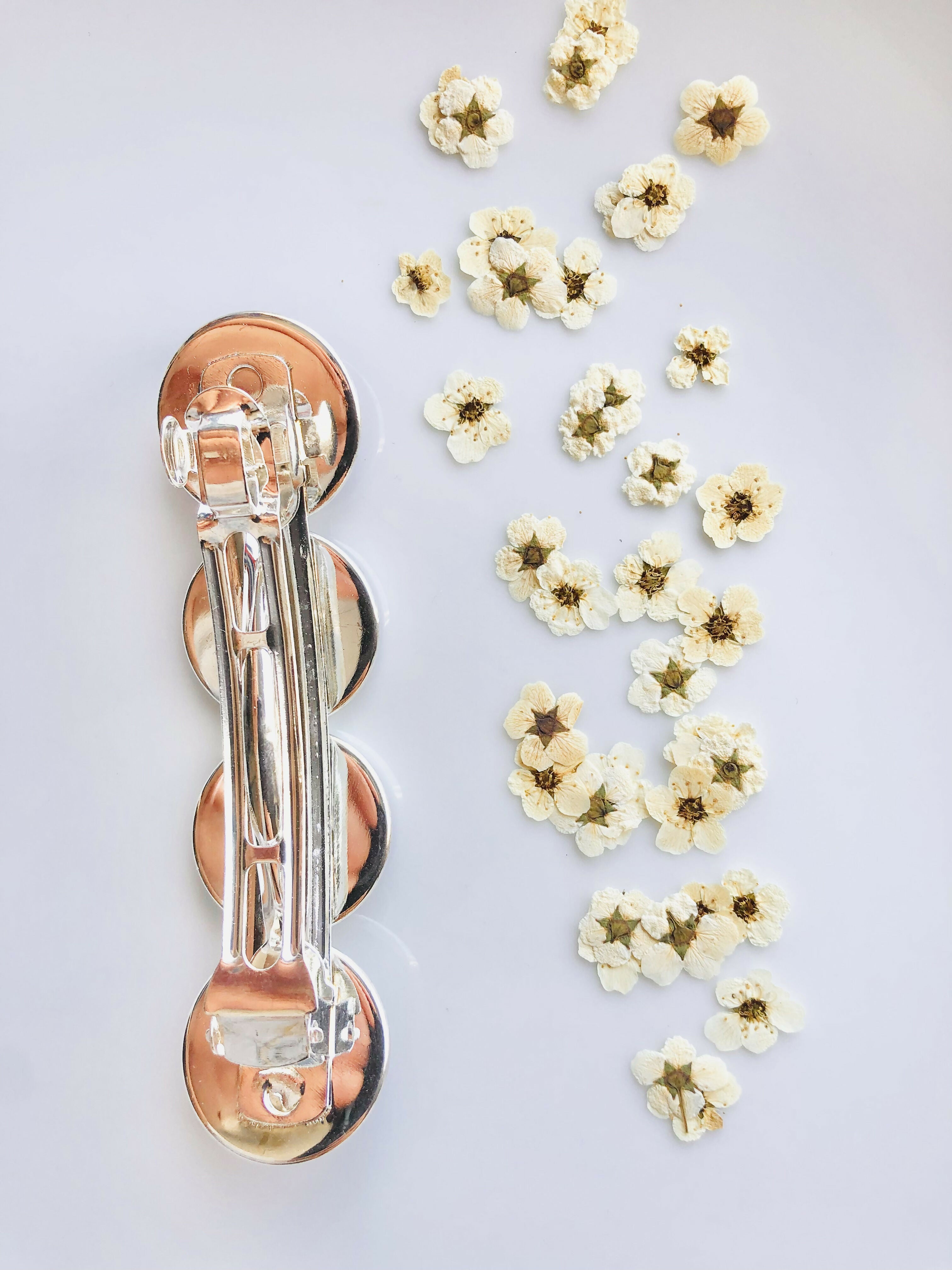 Barrettes à cheveux en fleur de spirée blanche