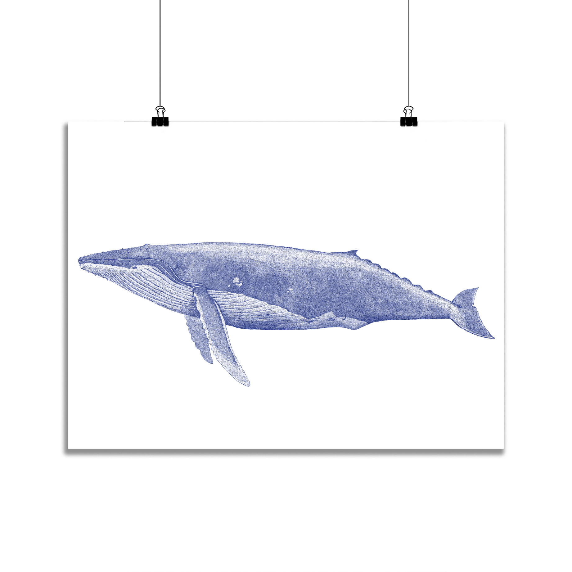 Baleine suspendue mini affiche