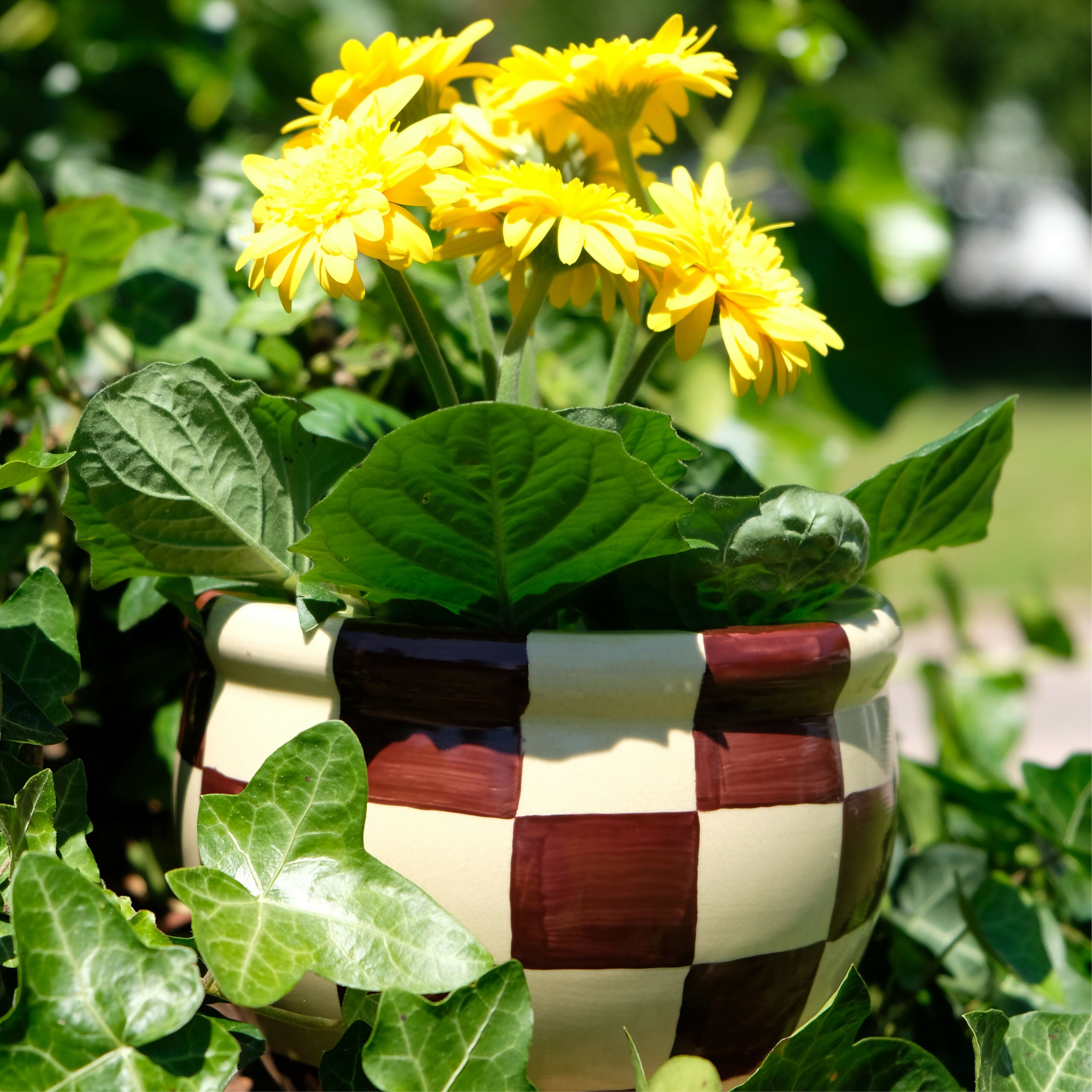 Pot de fleur 05B09