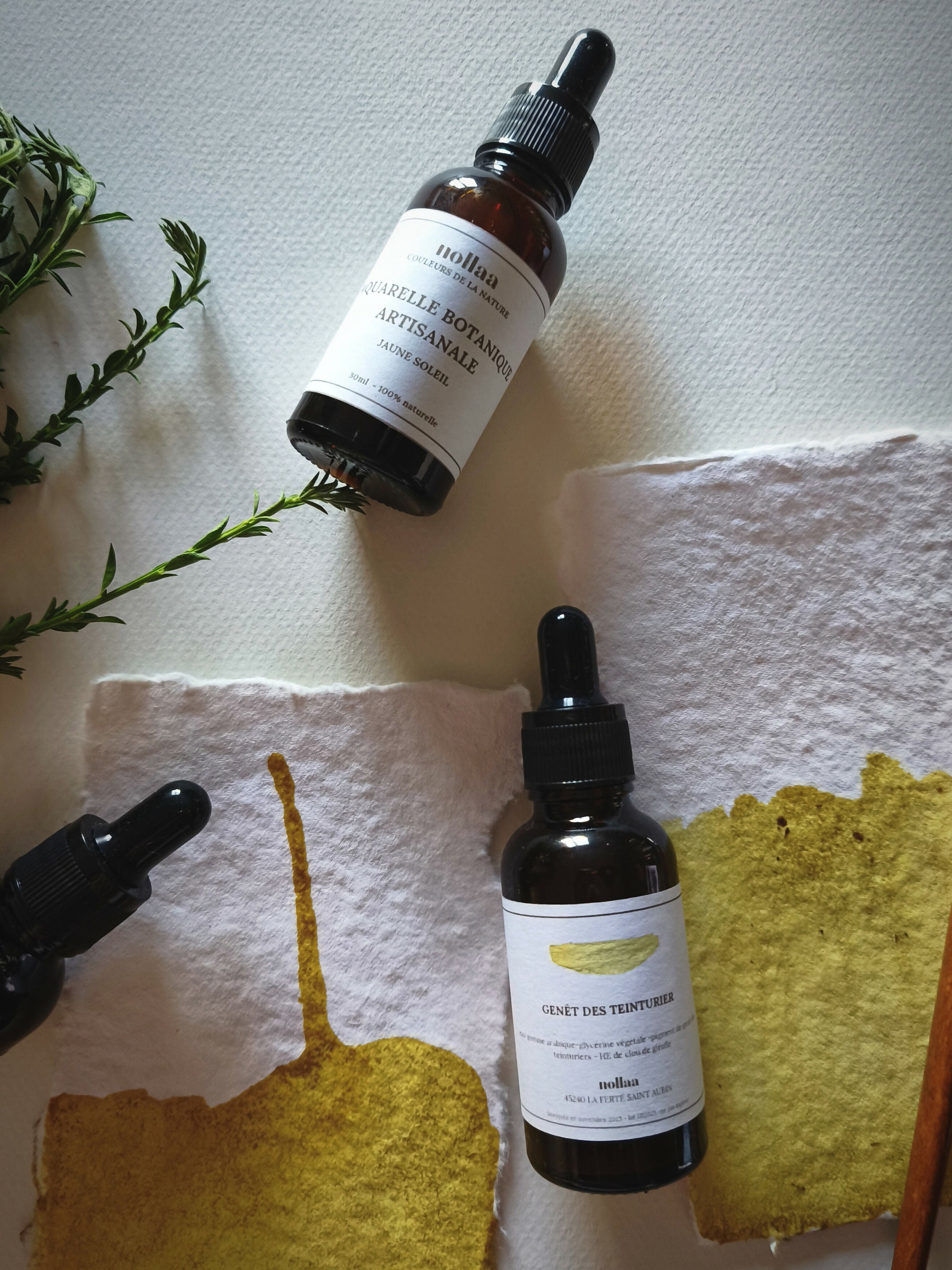 Aquarelle botanique -jaune soleil