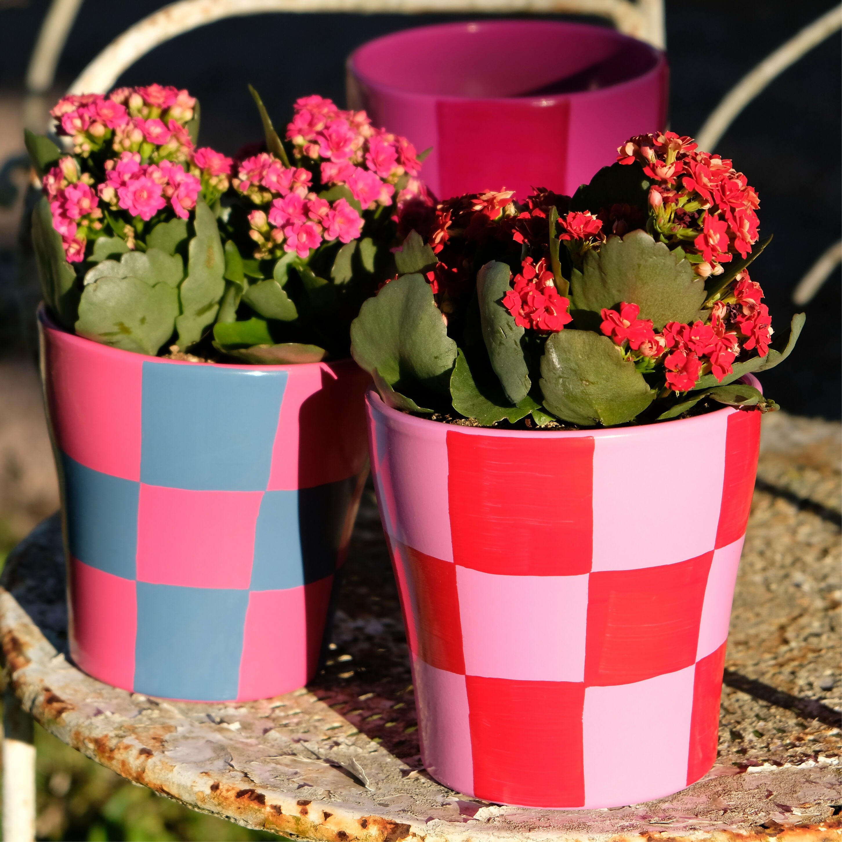 Pot de fleurs/cache pot à motif damier rose et rouge