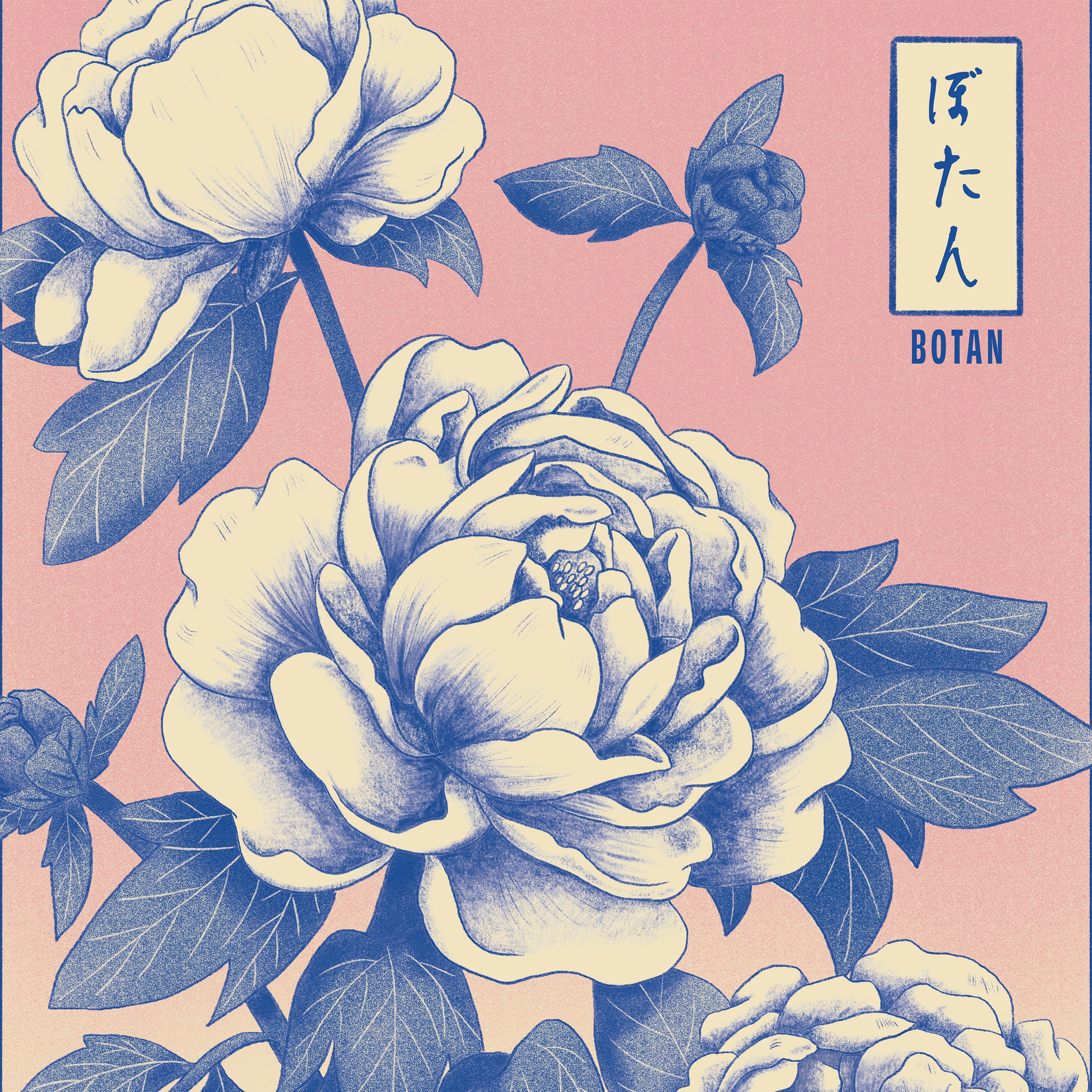Affiche Botan – Série Hana Kotoba