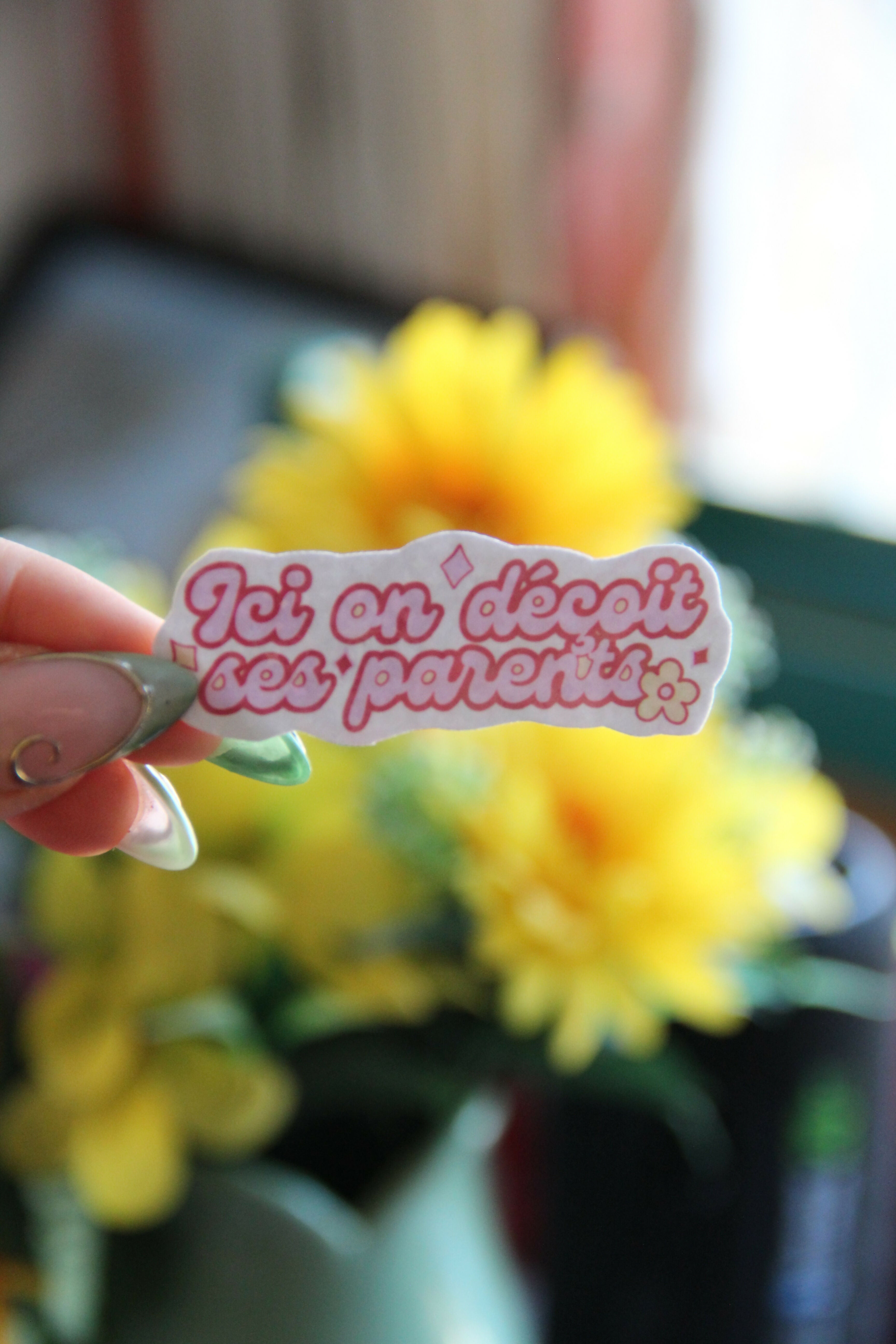 Sticker "Ici on déçoit ses parents"'