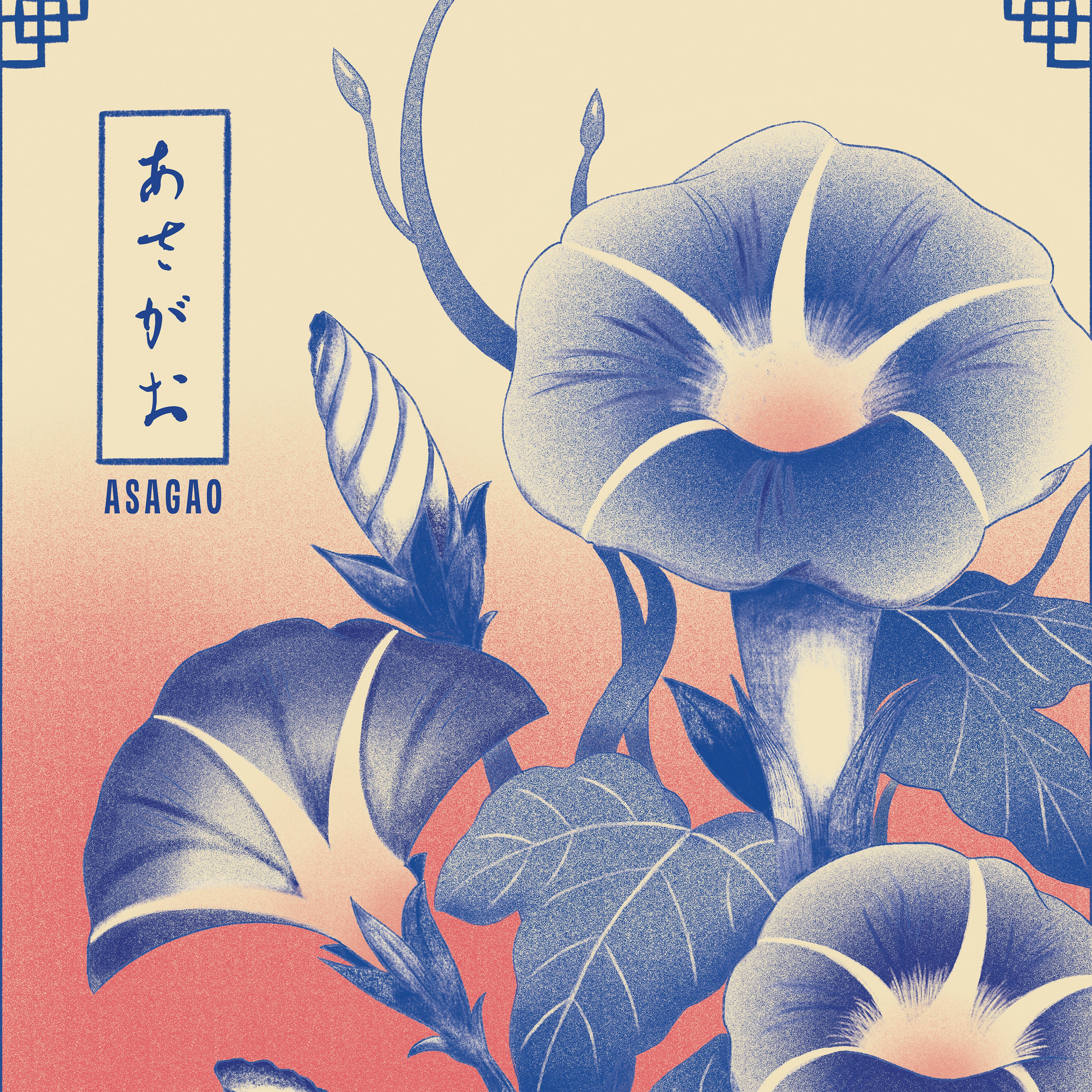 Affiche Asagao – Série Hana Kotoba