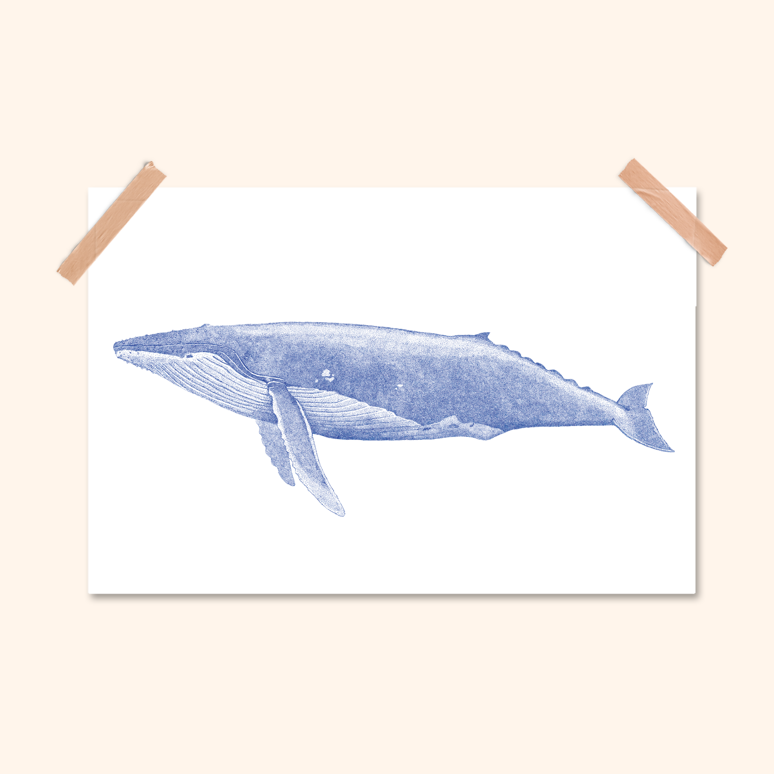 Mini affiche Baleine Catalogue