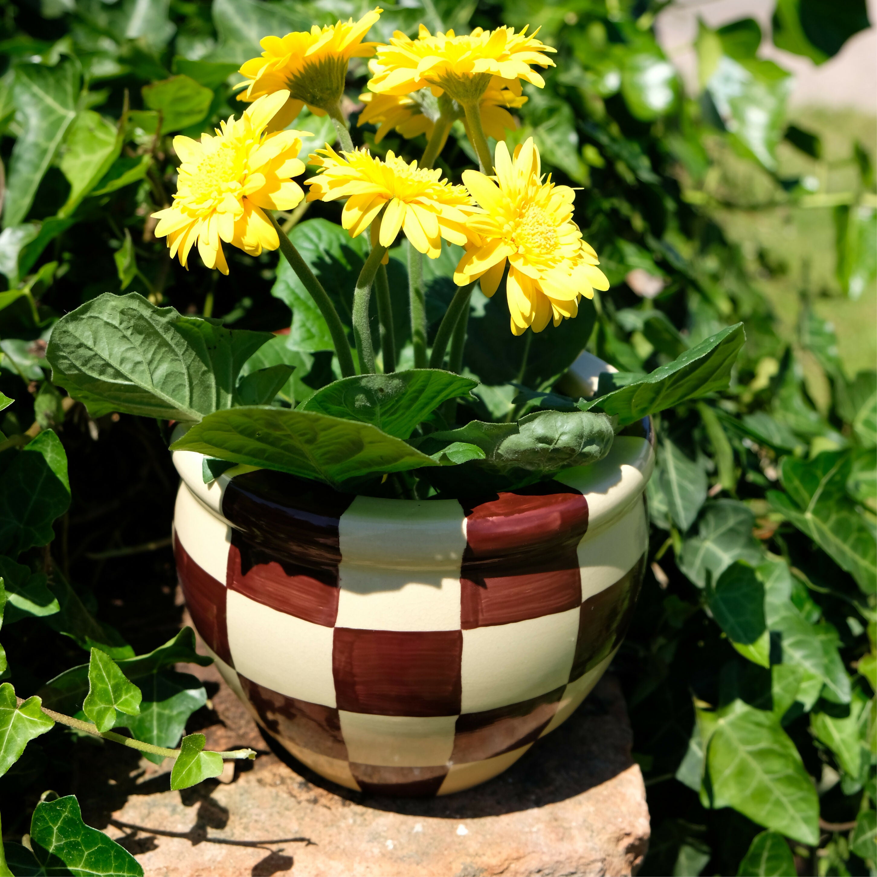 Pot de fleur 05B09