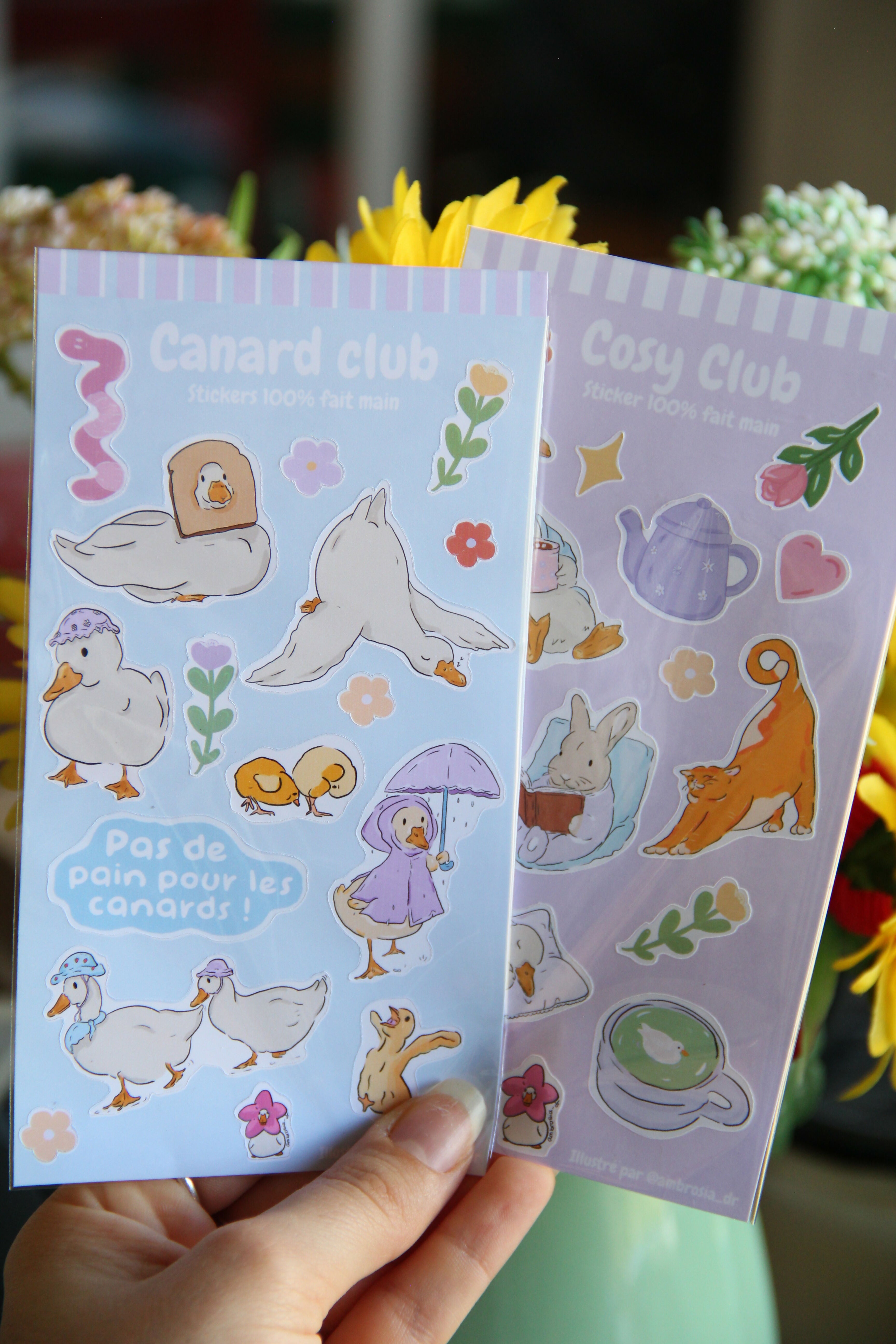 Planche de stickers "Canard Club"